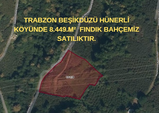 TRABZON BEŞİKDÜZÜ HÜNERLİ KÖYÜNDE 8.449.M²  FINDIK BAHÇEMİZ SATILIKTIR. - TRABZON BEŞİKDÜZÜ fotoğraf 6